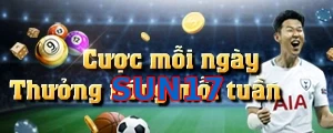 SUN17